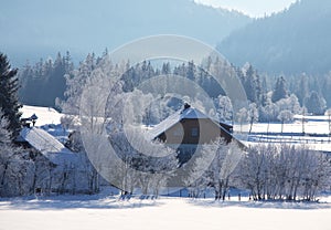 Winter in Alp mountains