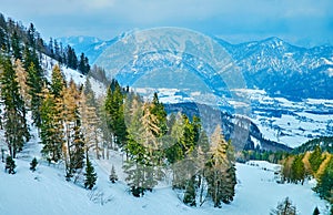 Winter Alpine landscape, Bad Ischl, Salzkammergut, Austria