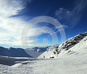 Winter Alpine Resort