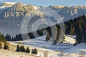 Winter alpine scenery in Fundata, Brasov, Romania photo