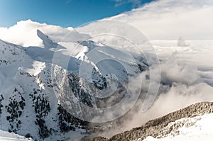 Winter Alpine snowpeak background with ountainous terrain and snow covered trees texture. Bansko, Bulgaria