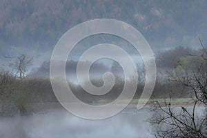 Winter ambience on a bog, in Vosges mountains, France