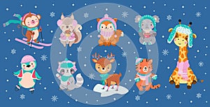 Winter animal characters. Holiday cute animals wear scarf and hats. Forest wild fox raccoon deer. Koala with hot drink