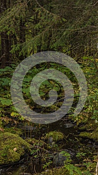 Winter approaches the State of Alaska USA