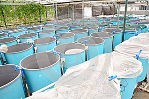 Winter aquaculture hothouse photo