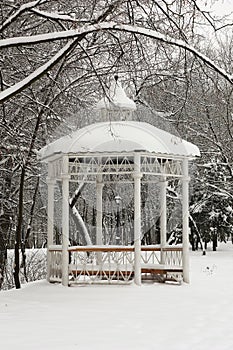 Winter.Arbour in park.