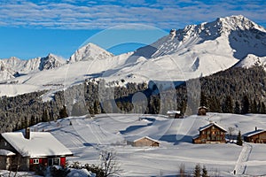Winter in Arosa (Langlauf)
