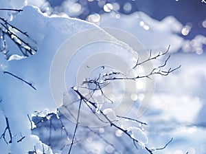Winter art design. Snow