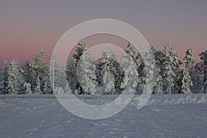 winter atmosphere in Levi in Finnish Lapland