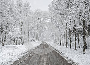 winter aura somewhere between kleszczele and policzna , podlasie, poland