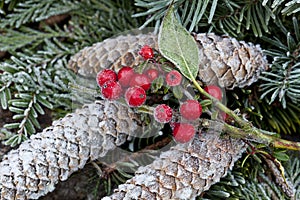 Winter Autumn Impression With Pine Cones