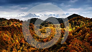 A jeseň scéna v rumunsko  krásny z divoký hory 