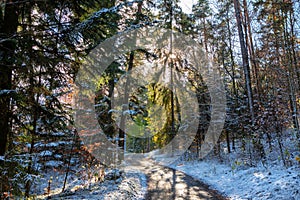 Zima na podzim - zasněžený barevný les se silnicí na slunci