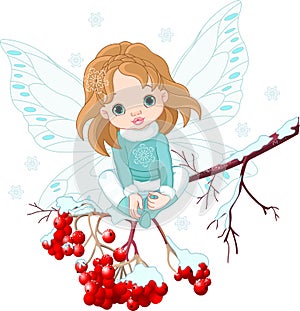 Winter Baby Fairy