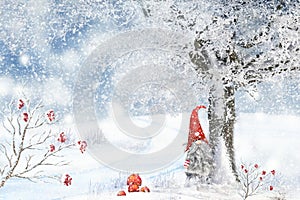 Winter Backgraund The Santa Claus, Scandinavia Nisse Gnome Santa Claus Elf, Christmas Tree, Snow, Balls, ,Merry Christmas