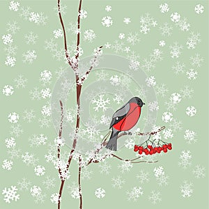 Winter background with bullfinch in vector
