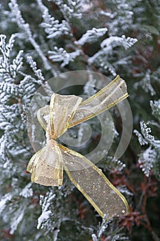 Winter background, Christmas tree and golden bow, on the background of snow branches