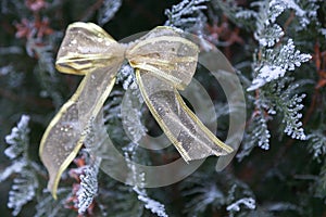 Winter background, Christmas tree and golden bow, on the background of snow branches