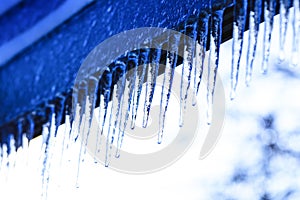 Winter background with crystal icicles and falling shiny drops. Icicle on beautiful bright texture.
