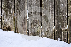 Winter background, falling snow and snow on ground in front of dilapidated wood fence