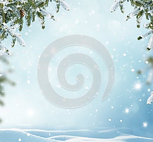 Winter background with fir tree branch .Merry Christmas and hap