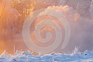 Winter background. Frosty winter morning in the forest. Trees with hoarfrost lit by bright sunlight. Bright christmas background