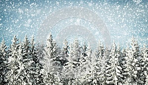 Winter background