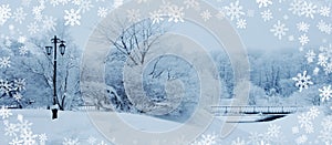 Winter background, landscape. Winter trees in wonderland. Winter scene. Christmas, New Year background