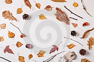 Winter background with leaves