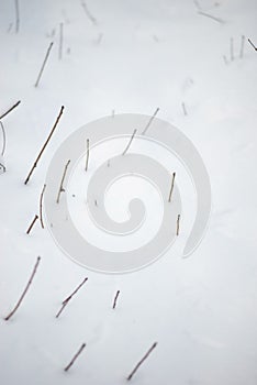 winter background minimalism nature. Branches from under the snow