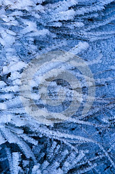 Winter background with natural white frost and ice