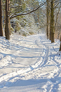 Winter background with road