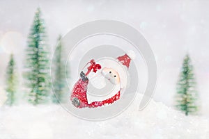 Winter background. Selective focus.Christmas composition.Christmas, winter, new year conceptGreeting card, banner photo