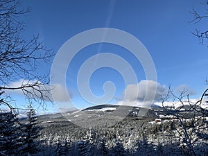 Winter background of snow covered fir trees in the mountains