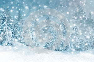 Winter background of snow and the frost with free space for your decoration. Christmas background