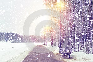 Winter background. Snowfall in Xmas park on sunset. Snowflakes faling on snowy forest. Christmas and New Year theme