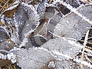 Winter background with snowflakes crystals patterns and snow on frozen grass