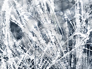 Winter background with snowflakes crystals patterns and snow on frozen grass