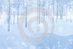 Winter background. Template for design and greeting cards