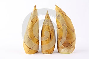 Winter bamboo shoots