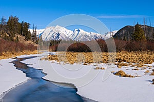 Winter in Banff National Park