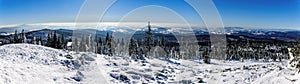 Winter in the Bavarian Forest