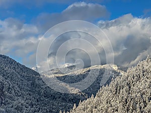 Winter in the Bavarian mountains