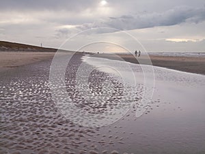 Winter beach landscape with walkers