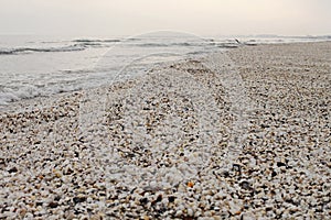 Winter beach of shells at black sea