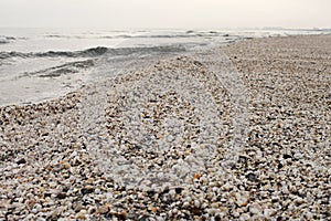 Winter beach of shells at black sea
