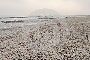 Winter beach of shells at black sea