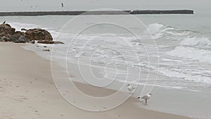 Winter beach with splash wave water. The sea wave crashes against the stone beach. Cloudy morning. Sea with stormy waves