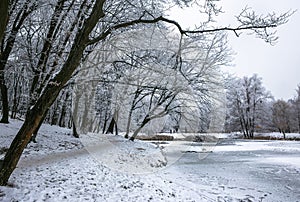 Winter beautiful day in park near frozen lake