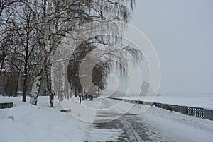 Winter beautiful promenade with birches, trees and white snow. Embankment along the Dnieper River in the city of Dnipro